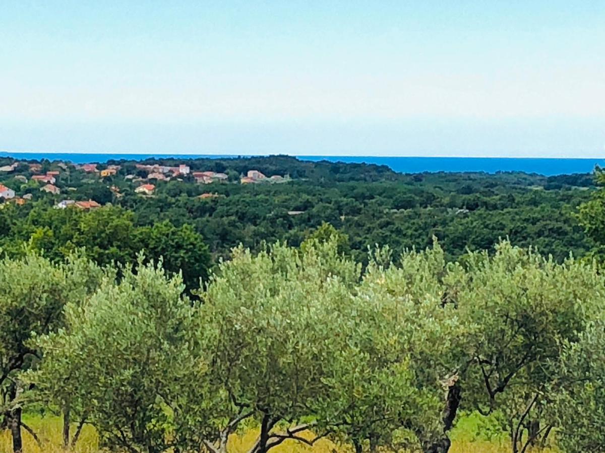 Villa Boiky - Private Pool And Amazing Sea View, Istria Materada 外观 照片