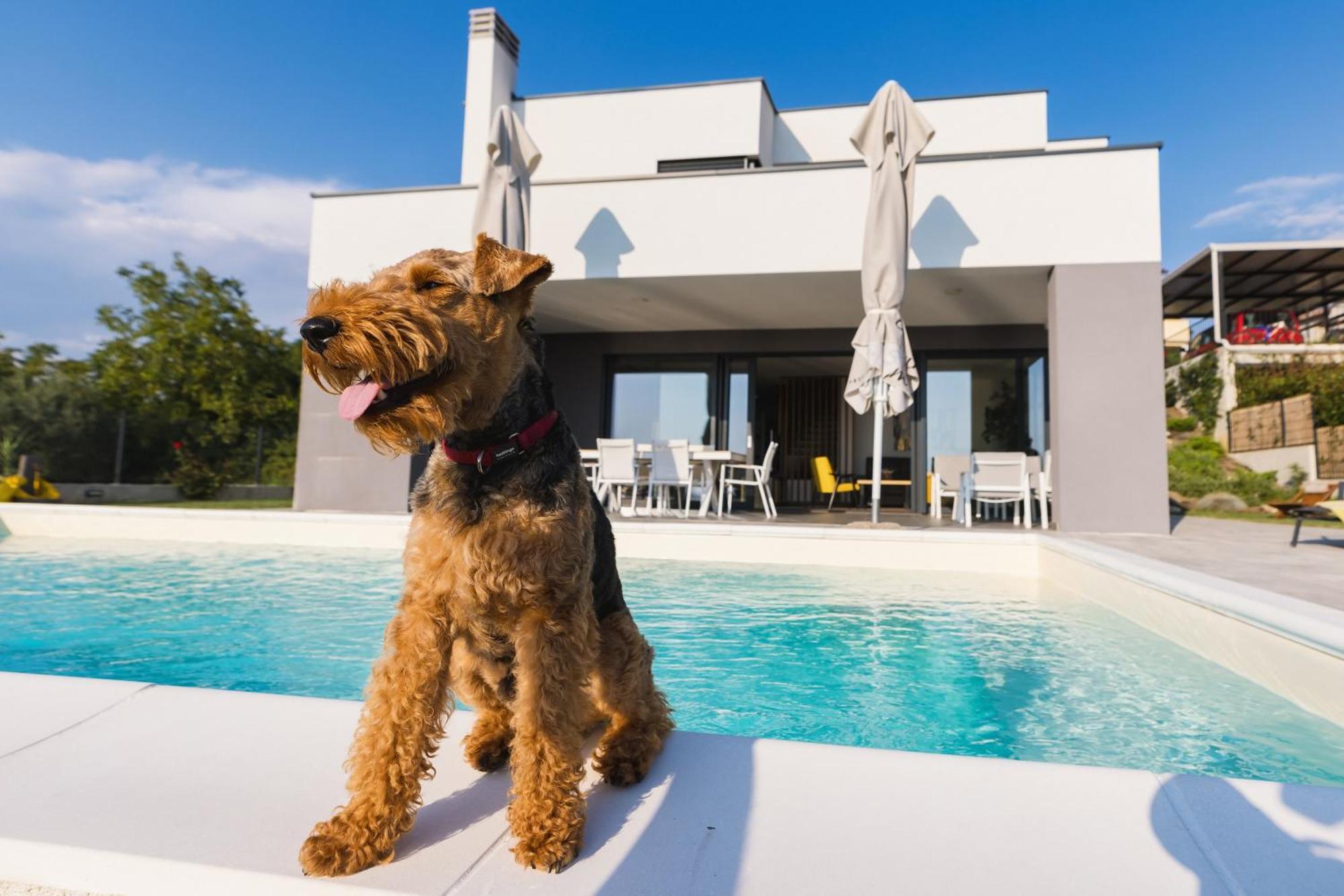 Villa Boiky - Private Pool And Amazing Sea View, Istria Materada 外观 照片